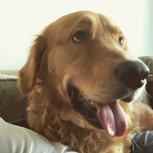 Meet your Posher, Connor